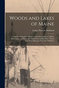 Woods and Lakes of Maine