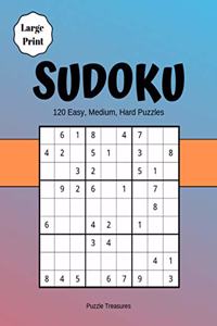 Sudoku Large Print 120 Easy, Medium And Hard Puzzles