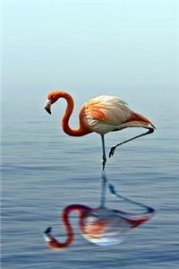 Flamingo Reflection Journal