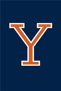 Y