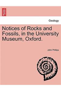 Notices of Rocks and Fossils, in the University Museum, Oxford.