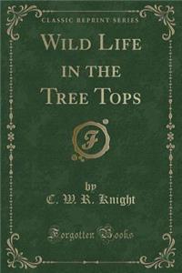 Wild Life in the Tree Tops (Classic Reprint)