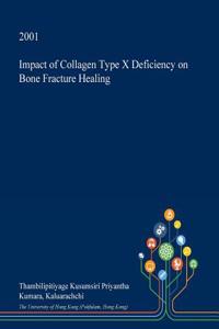 Impact of Collagen Type X Deficiency on Bone Fracture Healing