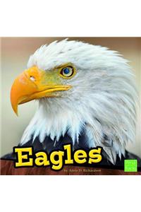 Eagles