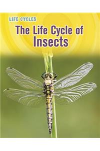 The Life Cycle of Insects