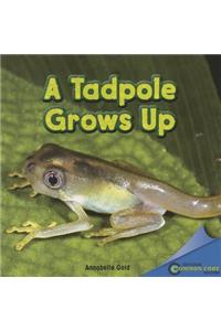 Tadpole Grows Up
