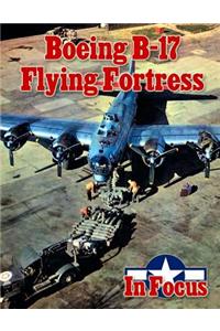 Boeing B-17 Flying Fortress in Focus