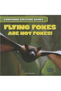 Flying Foxes Are Not Foxes!