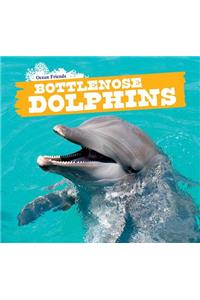 Bottlenose Dolphins