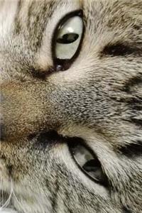 Cat Notebook