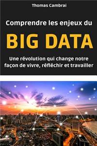 Comprendre les enjeux du Big data