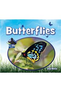 Butterflies