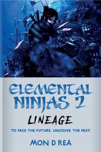 Elemental Ninjas 2