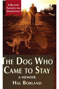 The Dog Who Came to Stay