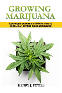 Growing Marijuana