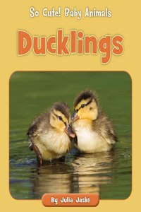 Ducklings