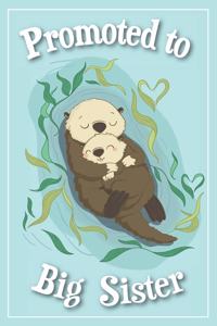 Promoted to Big Sister Journal - Big Sister Gifts