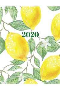 2020