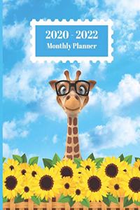 2020-2022 Monthly Planner