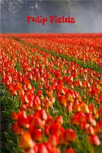 Tulip Fields