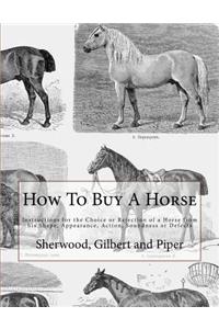 How To Buy A Horse