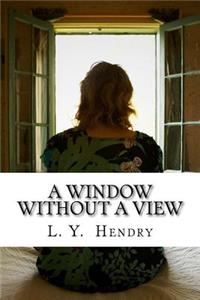 A Window Without A View