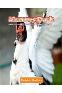 Muscovy Duck: Fun Facts and Amazing Photos of Animals in Nature