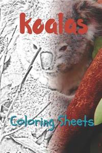 Koala Coloring Sheets