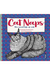 The Secret Lives of Cats