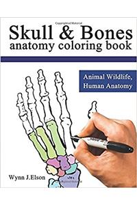 Skull and Bones: Animal Wildlife