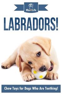 Labradors!