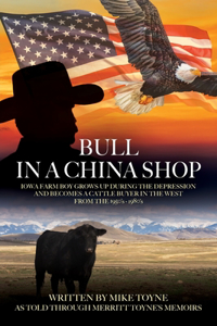 Bull in a China Shop