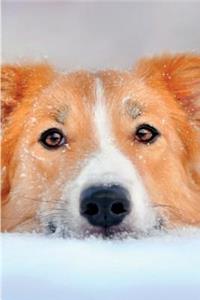 Border Collie January Notebook & Journal. Productivity Work Planner & Idea Notepad