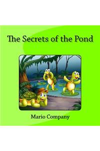 Secrets of the Pond