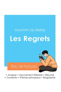 Réussir son Bac de français 2024: Analyse du recueil Les Regrets de Joachim du Bellay