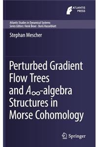 Perturbed Gradient Flow Trees and A∞-Algebra Structures in Morse Cohomology