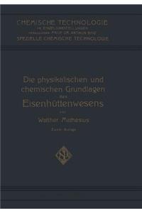 Die Physikalischen Und Chemischen Grundlagen Des Eisenhüttenwesens