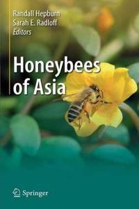 Honeybees of Asia [Special Indian Edition - Reprint Year: 2020] [Paperback] H. Randall Hepburn; Sarah E. Radloff