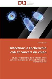 Infections À Escherichia Coli Et Cancers Du Chien