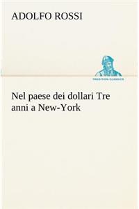 Nel paese dei dollari Tre anni a New-York