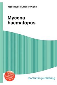 Mycena Haematopus