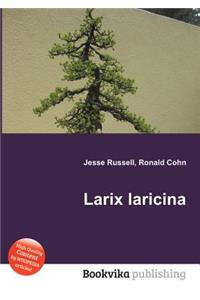 Larix Laricina