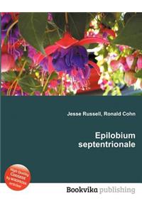 Epilobium Septentrionale
