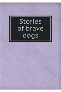 Stories of Brave Dogs