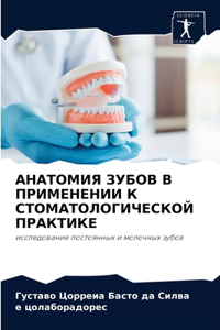 АНАТОМИЯ ЗУБОВ В ПРИМЕНЕНИИ К СТОМАТОЛОГИ