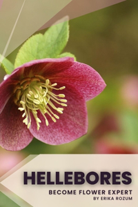 Hellebores