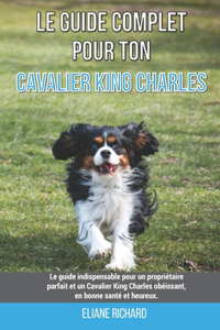 Le guide complet pour ton Cavalier King Charles