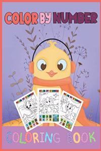 Color by number coloring book