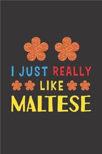 I Just Really Like Maltese