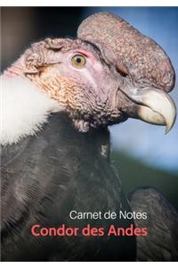 Carnet de Notes Condor des Andes